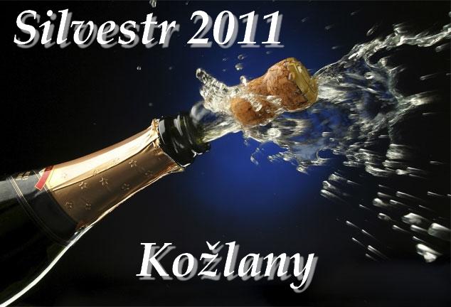 silvestr.jpg