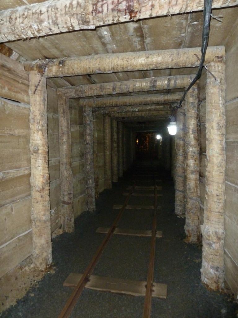 15.JPG