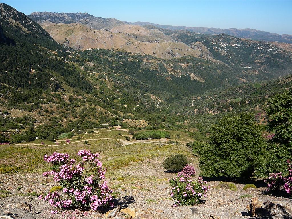 P1020419.JPG