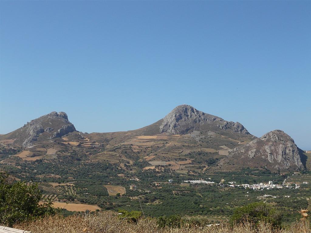 P1020342.JPG