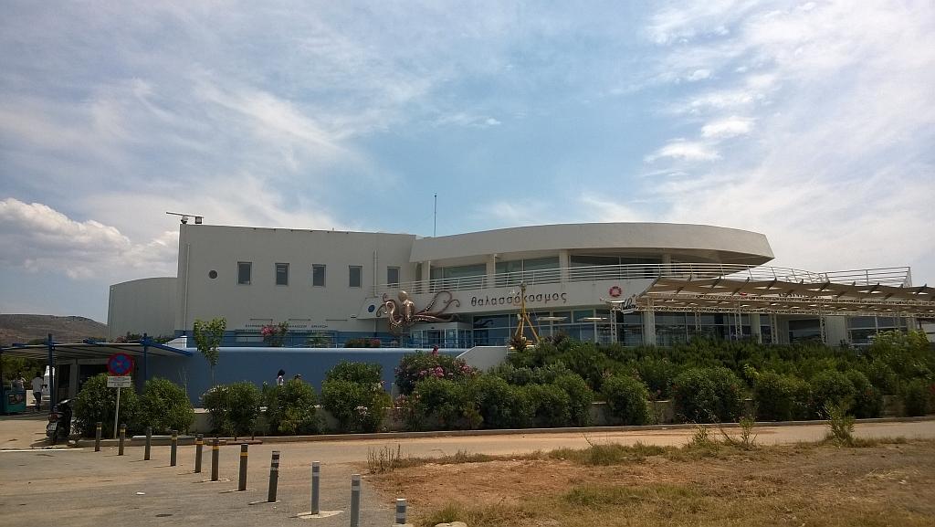 WP_20140615_038.jpg
