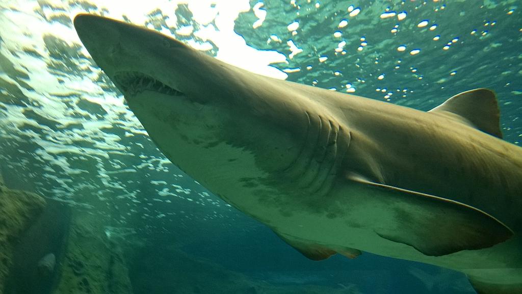 WP_20140615_065.jpg