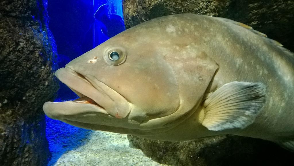 WP_20140615_055.jpg