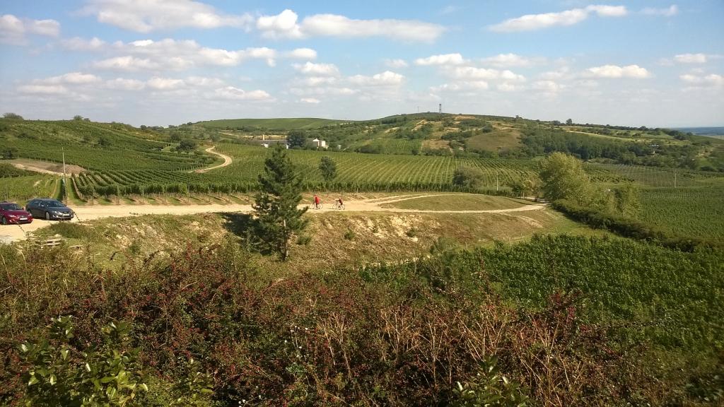 WP_20150912_006.jpg