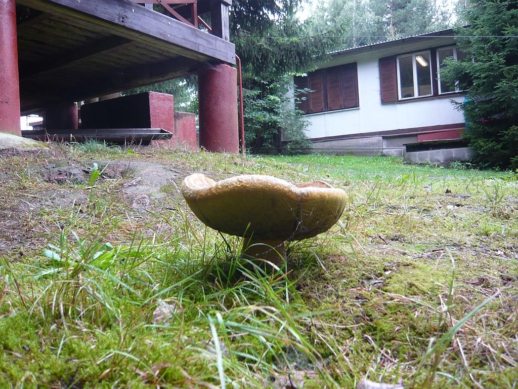 P1280178.JPG