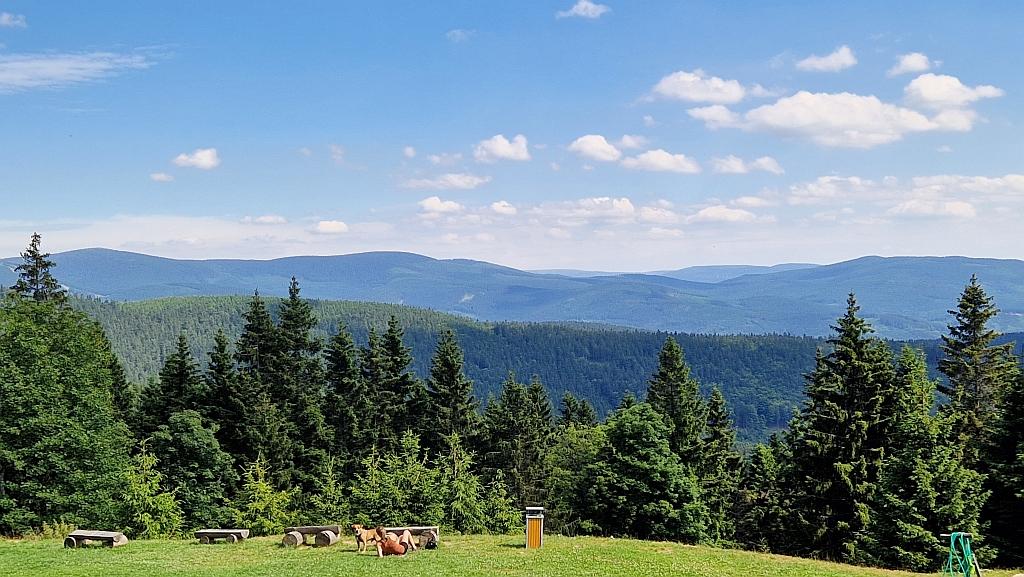 20240706_152206.jpg 20240706_152206.jpg