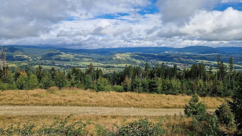 20250906_145557.jpg 20250906_145557.jpg